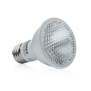 LED Bulbs